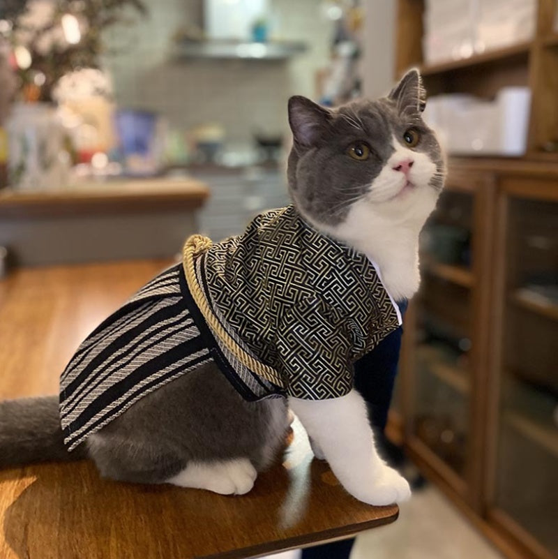 Samurai Style Pet Costume Zephyr Outfit Stylish Dress Up Clothing
