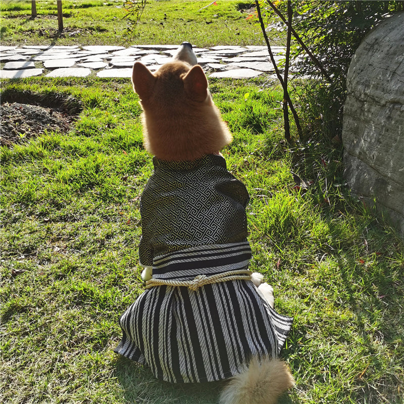 Samurai Style Pet Costume Zephyr Outfit Stylish Dress Up Clothing