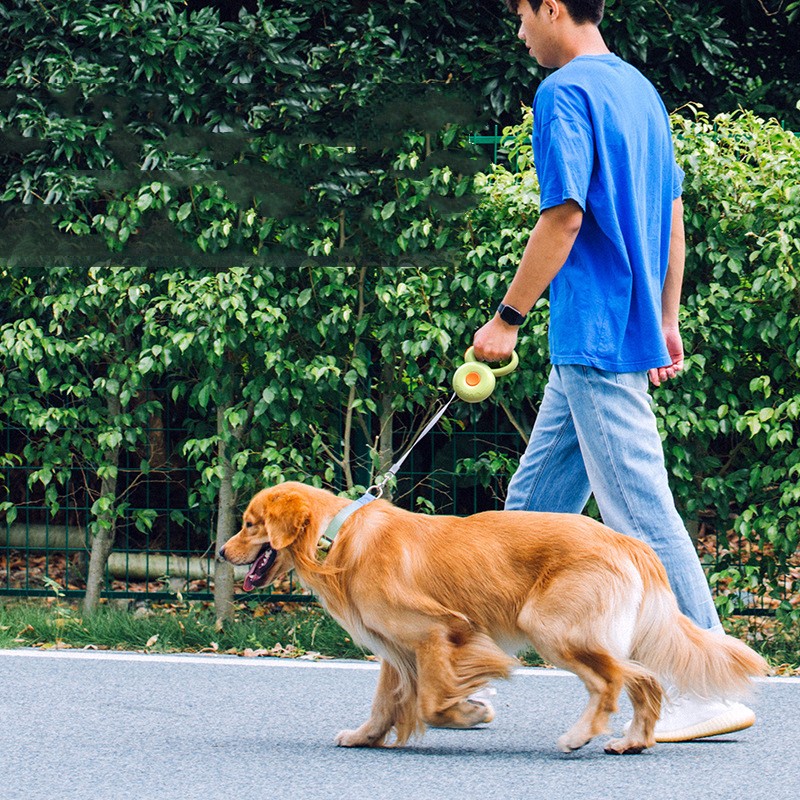 Retractable Pet Leash Reflective Rope Adjustable Durable Design