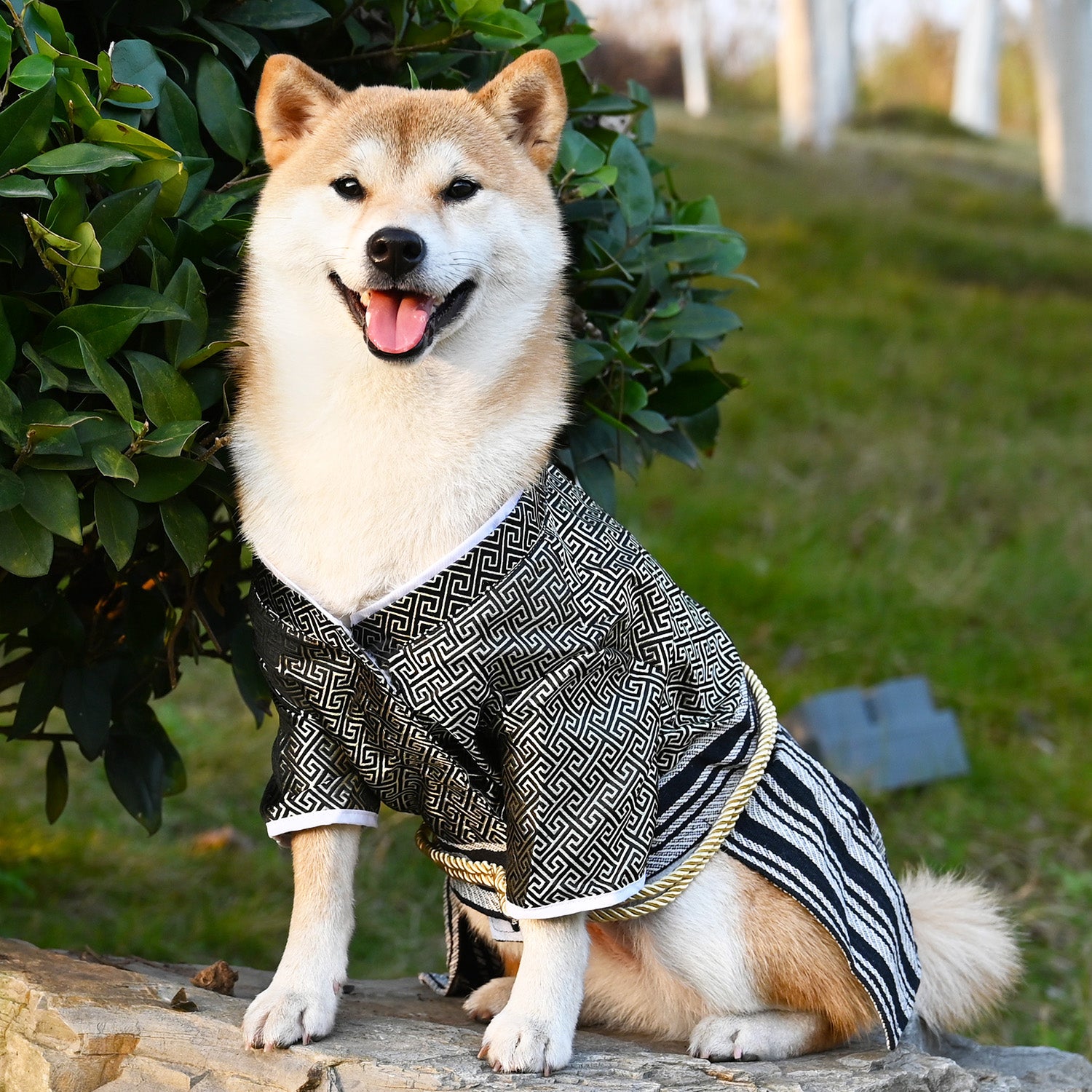 Samurai Style Pet Costume Zephyr Outfit Stylish Dress Up Clothing