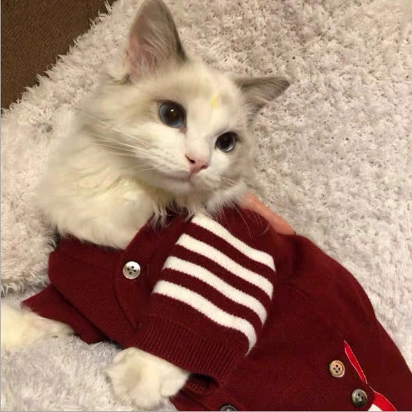 Pet Clothes Comfortable Stylish Everyday Wear For Pets