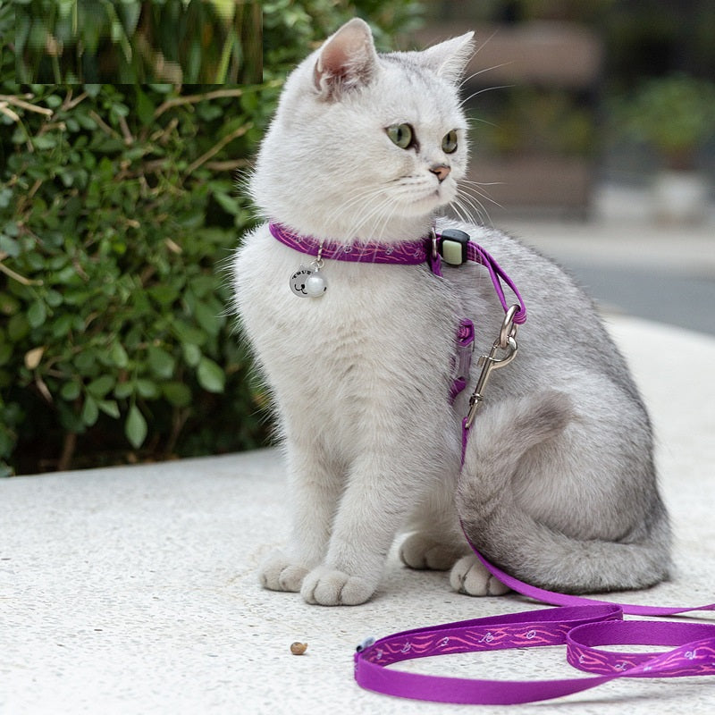Pet Harness Vest With Bell Chest Strap And Leash