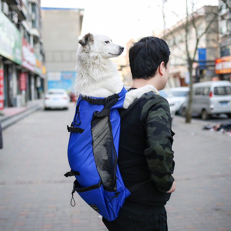 Double Shoulder Pet Carrier Backpack Portable Outdoor Travel Bag