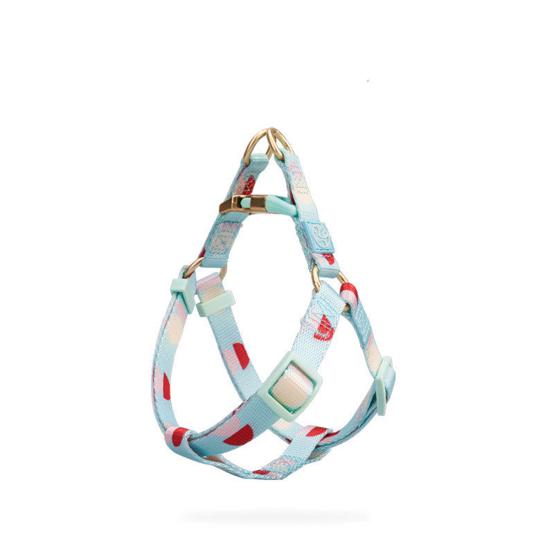 Fashionable Y Shaped Pet Harness With Leash Set