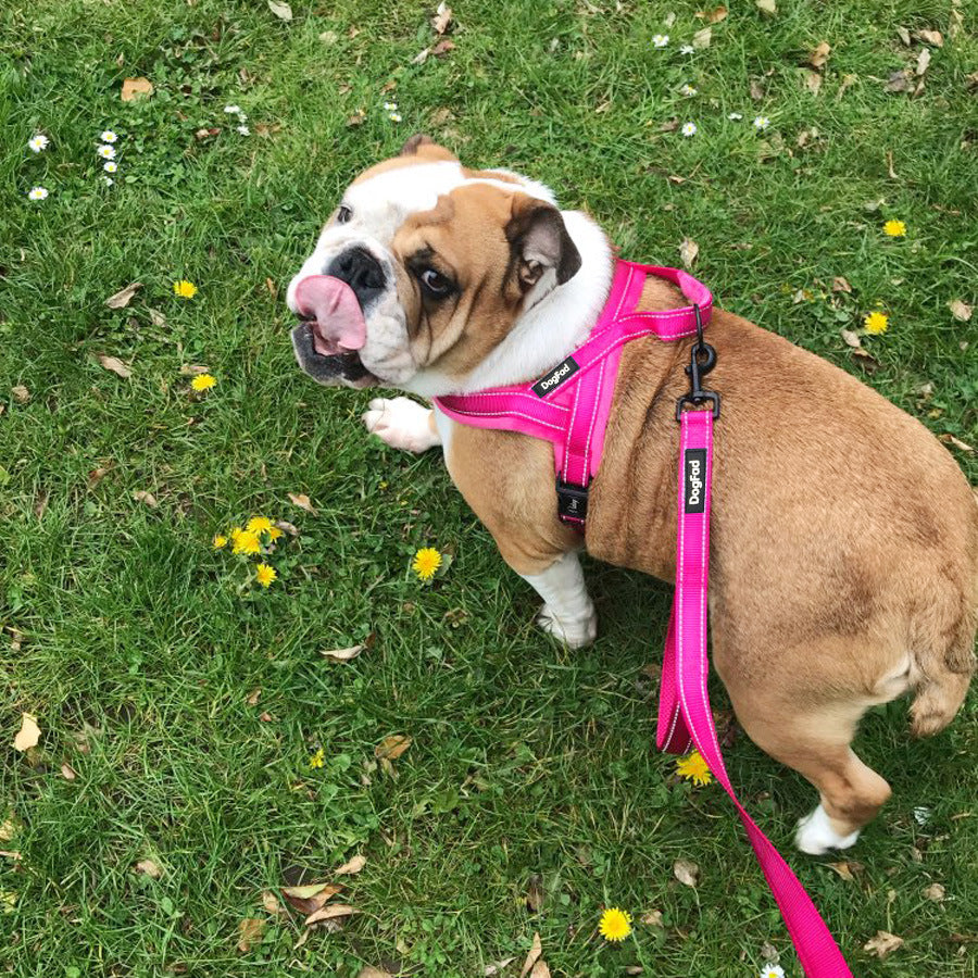 Comfortable Lined Pet Chest Strap Harness With Leash