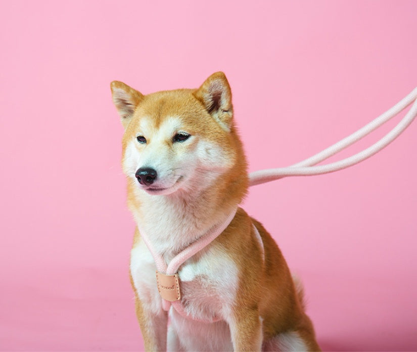 Dual Purpose Pet Leash Integrated Round Rope Design