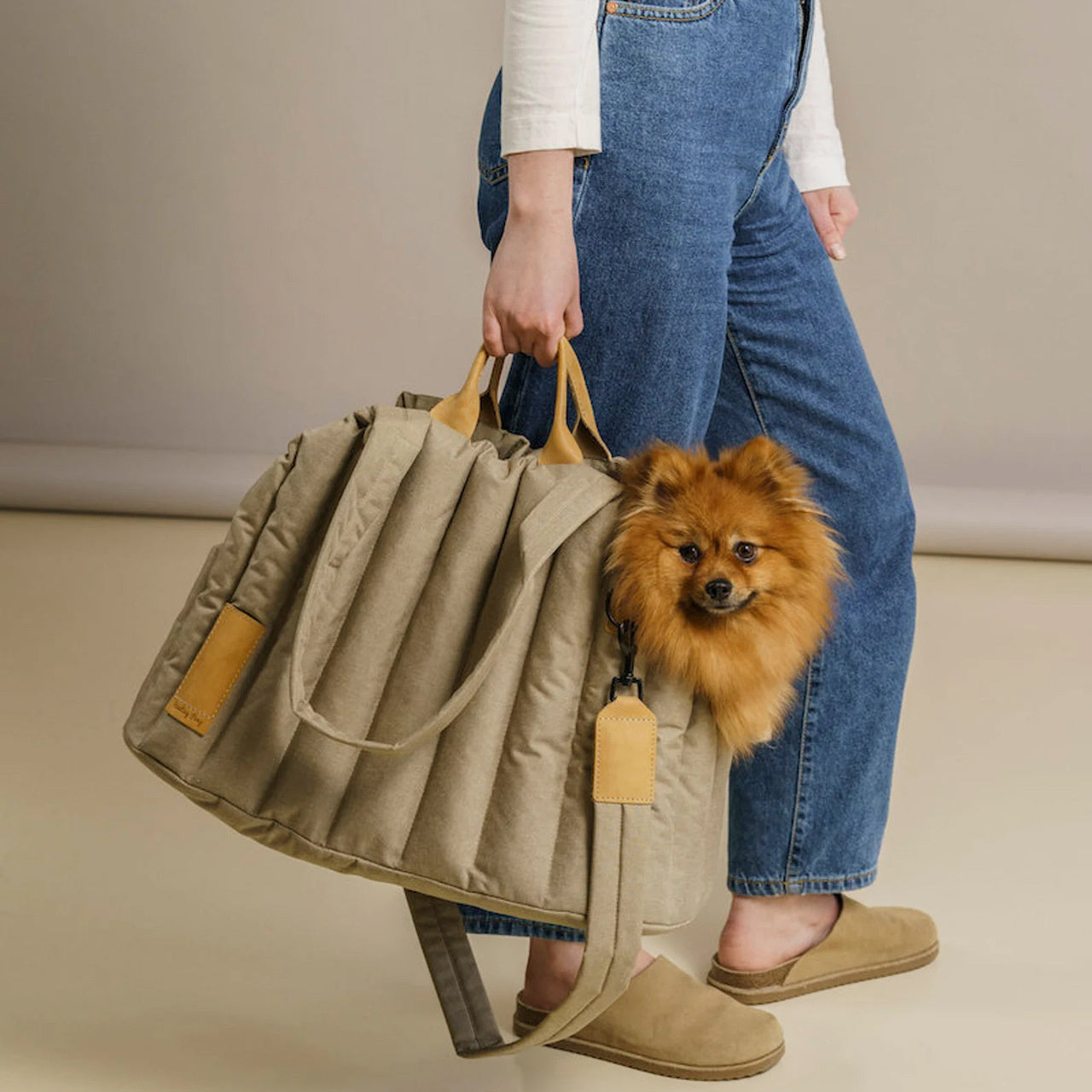 Waterproof Lightweight Pet Carrier Bag Portable Fashion Handbag