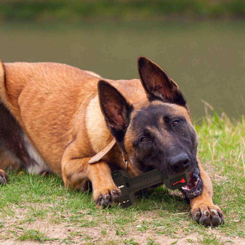 Durable Pet Chew Toy For Aggressive Chewers Tooth Cleaning