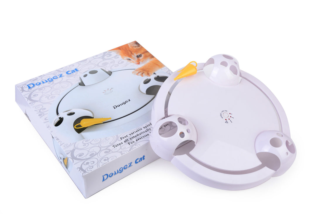 Automatic Electric Pet Toy Wheel With Interactive Turntable Play