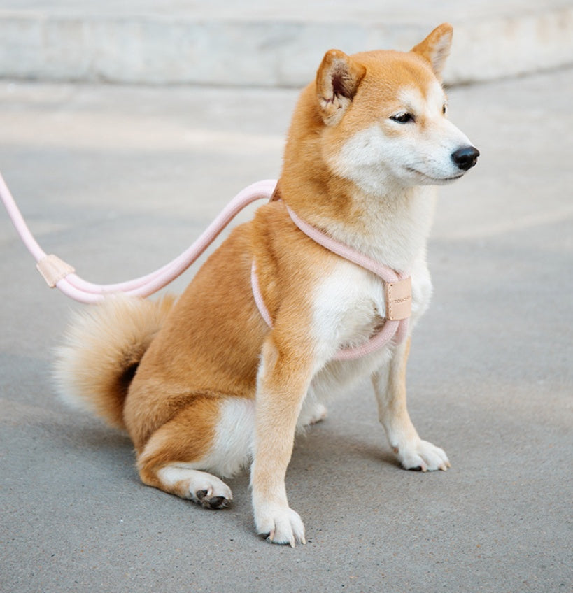 Dual Purpose Pet Leash Integrated Round Rope Design