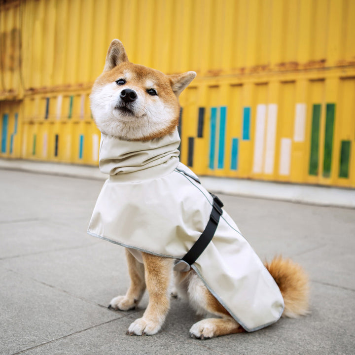 Waterproof Pet Raincoat Outdoor Protective Clothing For All Weather
