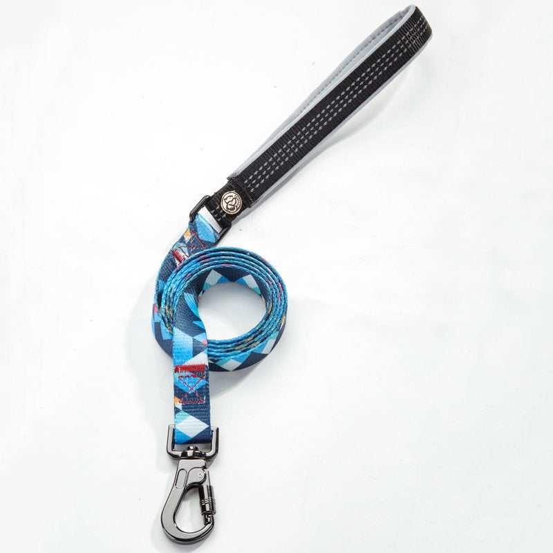Pet Leash Durable Everyday Walking Accessory