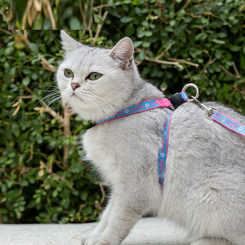 Pet Harness Vest With Bell Chest Strap And Leash