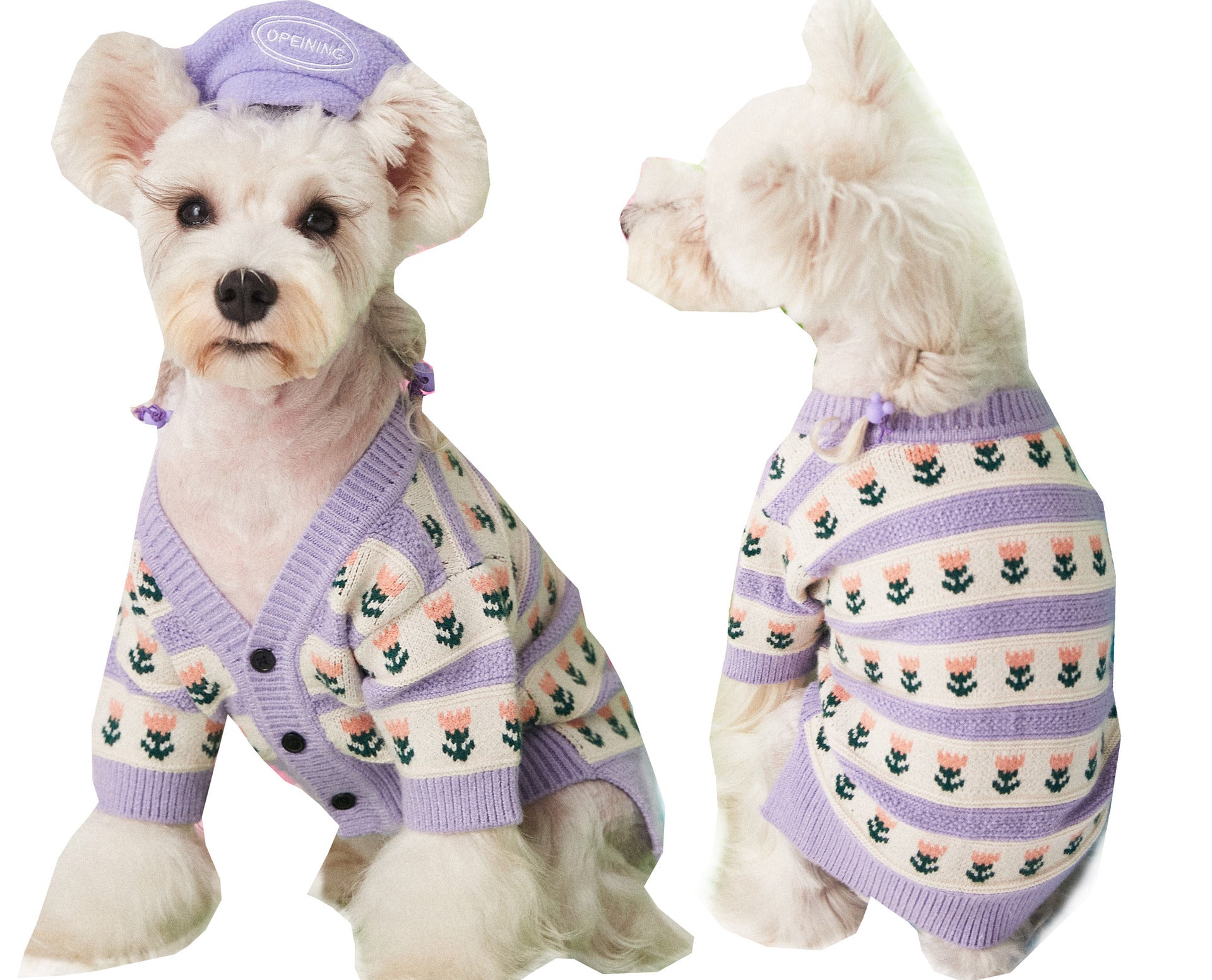 Purple Floral Pet Sweater Cardigan Soft Warm Stylish Design