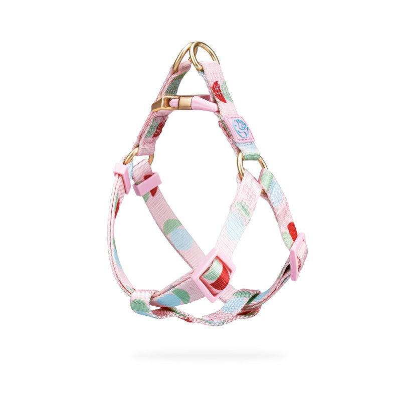 Fashionable Y Shaped Pet Harness With Leash Set