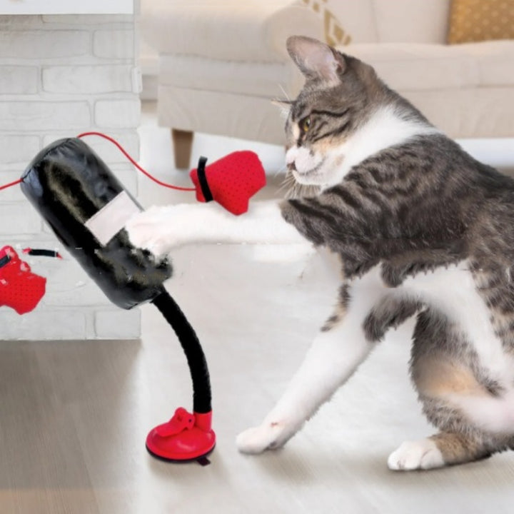 Interactive Pet Boxing Game Teaser Toy For Play