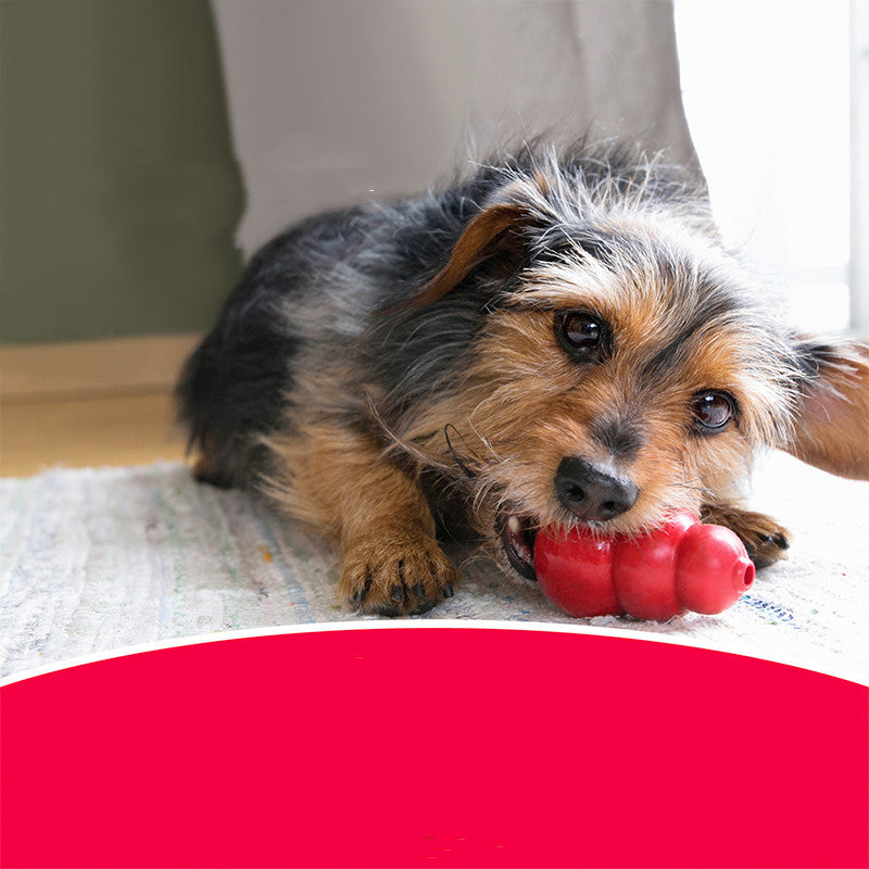 Bite Resistant Rubber Pet Toy For Teeth Grinding