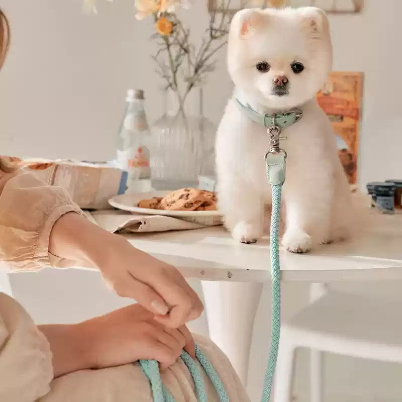Leather Pet Collar With Handheld Rope Leash Set