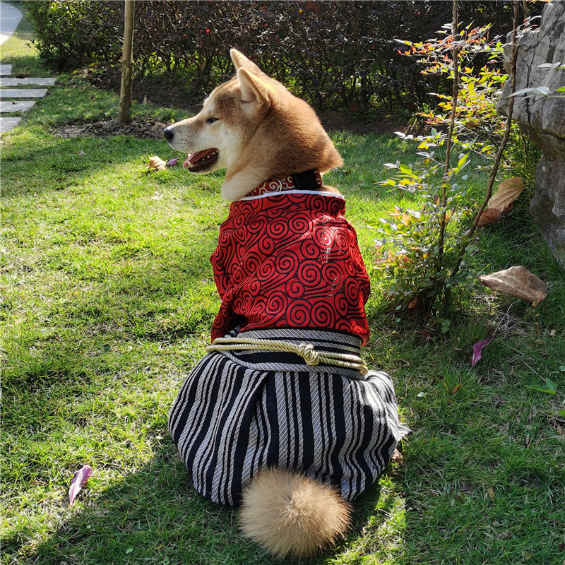 Samurai Style Pet Costume Zephyr Outfit Stylish Dress Up Clothing