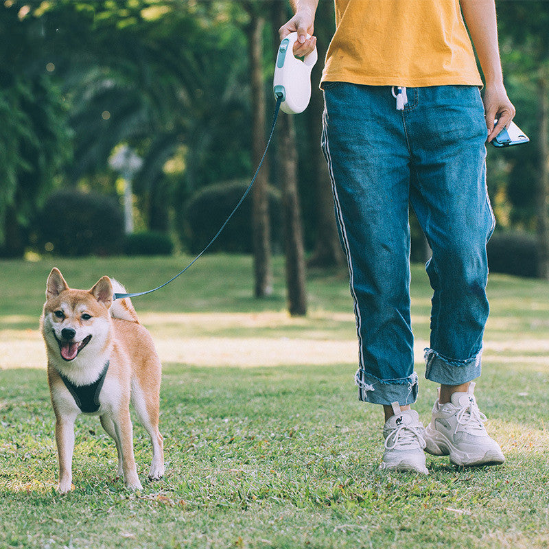 Retractable Pet Leash For Small Medium And Large Sizes