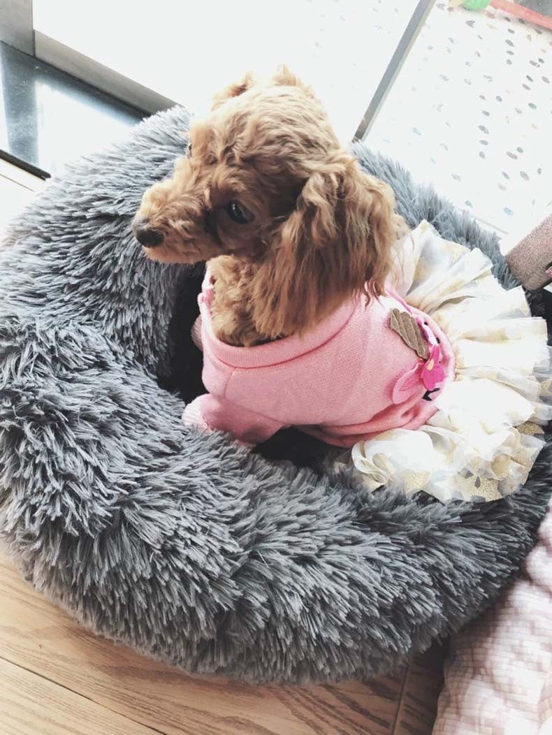 Autumn Winter Thick Plush Round Pet Bed For Deep Sleep