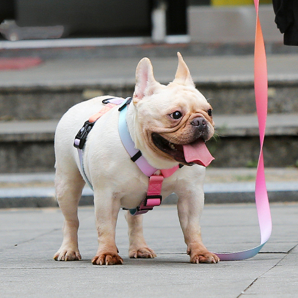 Adjustable Pet Leash Suitable For Small And Medium Sizes