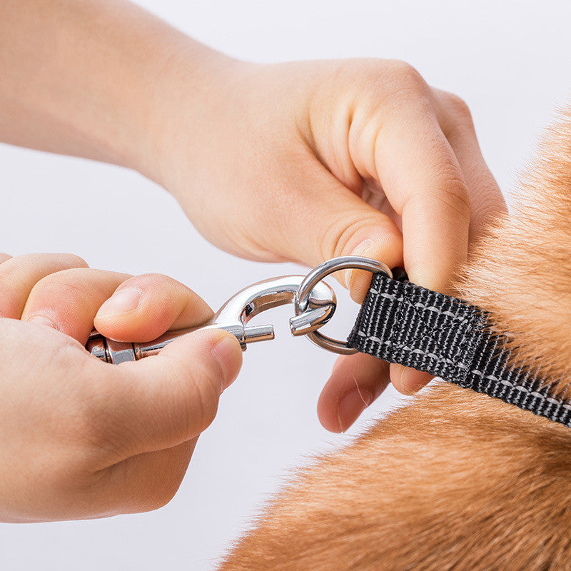 Retractable Pet Leash For Small Medium And Large Sizes