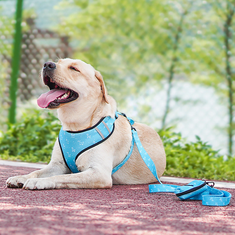 Pet Harness And Leash Set With Decorative Bow Design