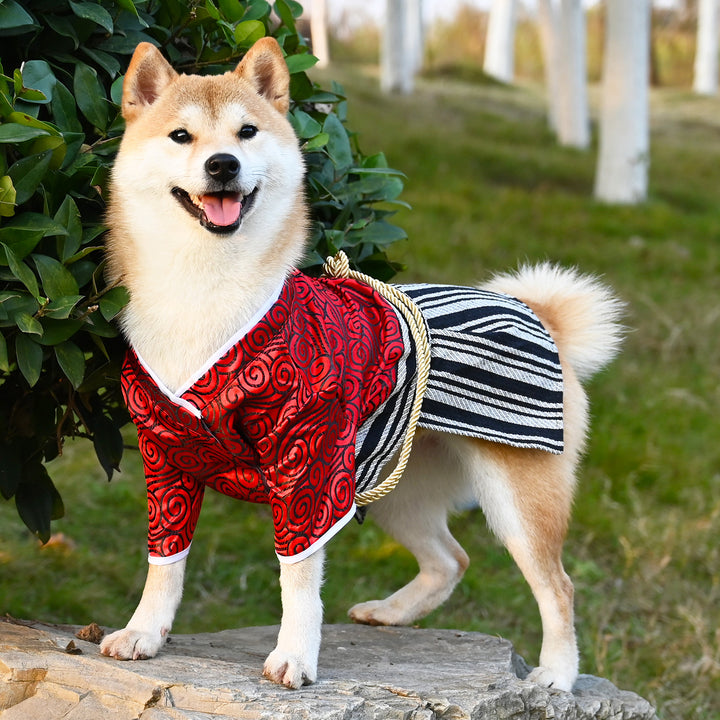 Samurai Style Pet Costume Zephyr Outfit Stylish Dress Up Clothing