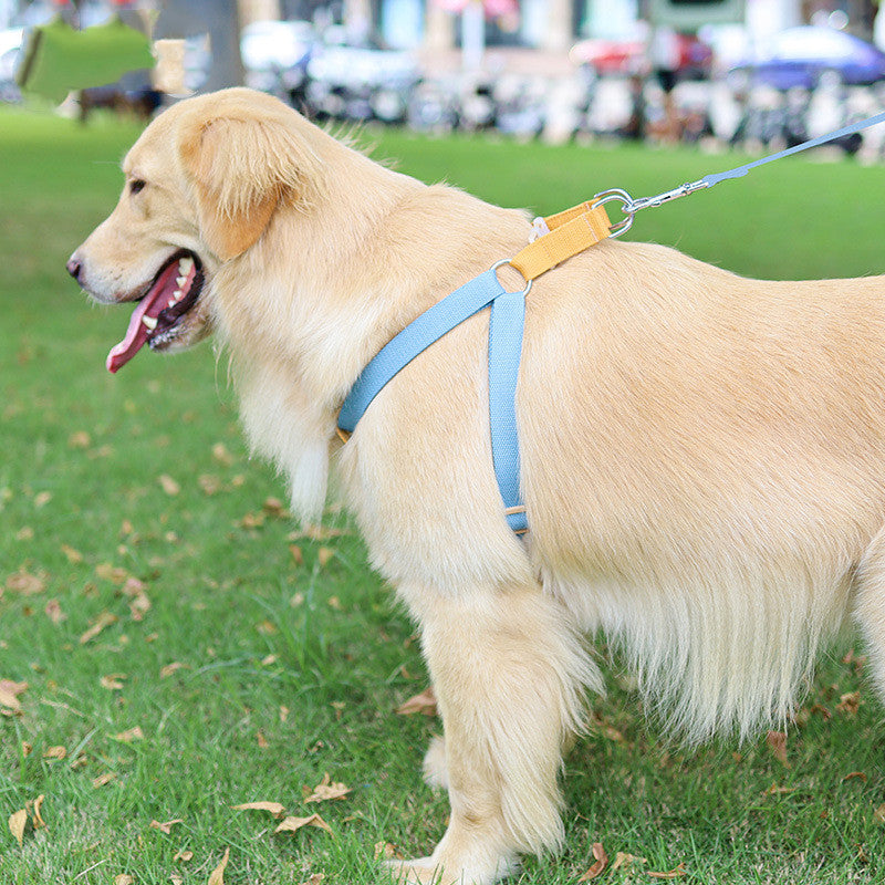 Colorful Pet Drawstring Leash Vest Style Harness Set