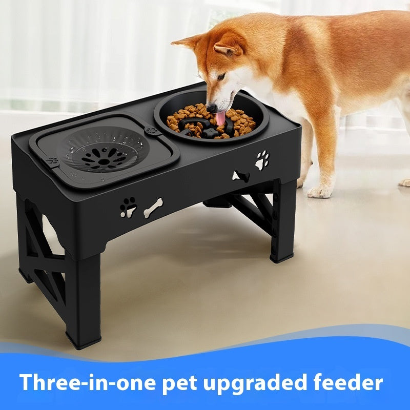 Stainless Steel Double Pet Feeder Bowl With Elevated Integrated Stand