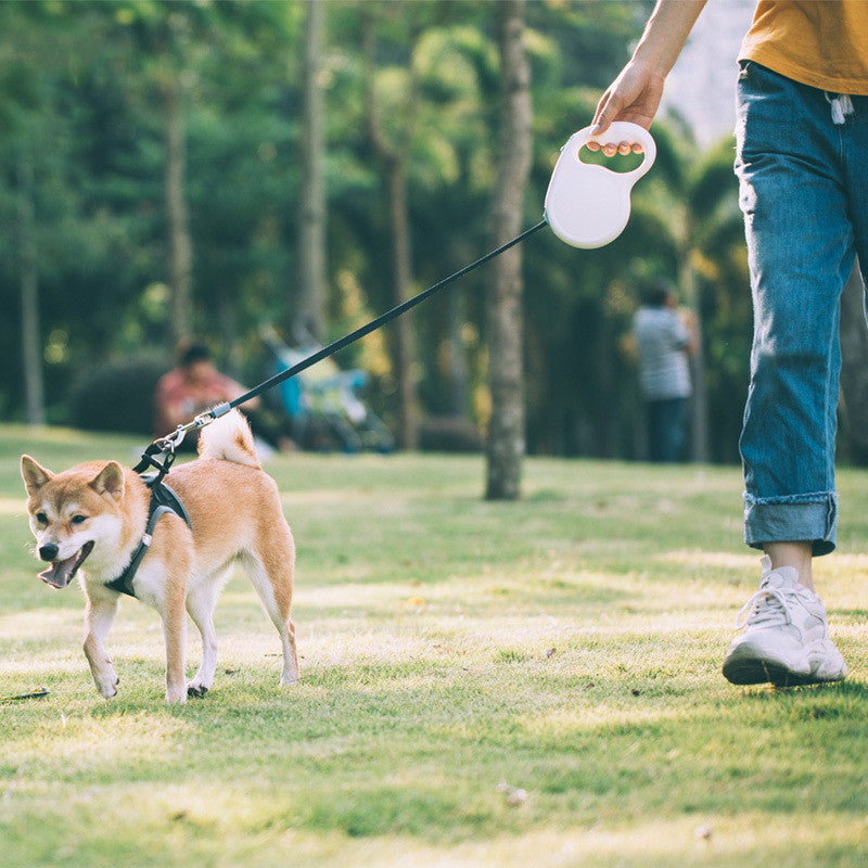 Retractable Pet Leash For Small Medium And Large Sizes