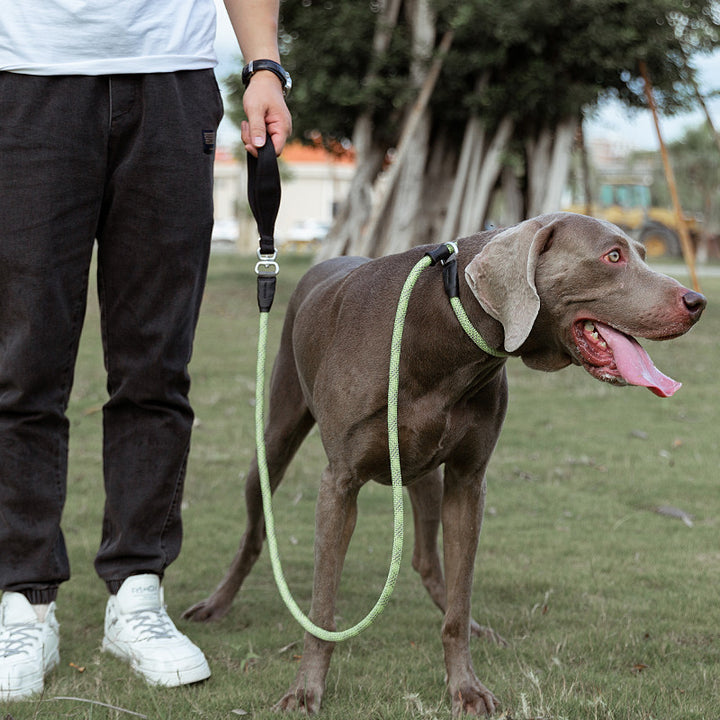 Fashionable Pet Leash Durable Strong Secure Anti Pull Design
