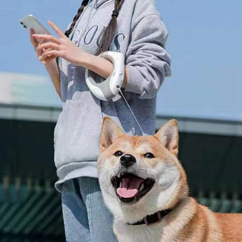 LED Retractable Pet Leash Automatic Night Safety Walking Design