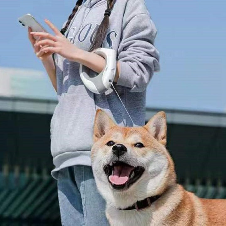 LED Retractable Pet Leash Automatic Night Safety Walking Design