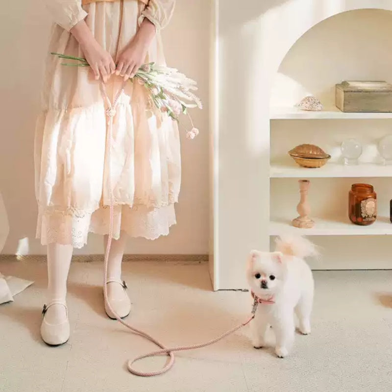 Leather Pet Collar With Handheld Rope Leash Set