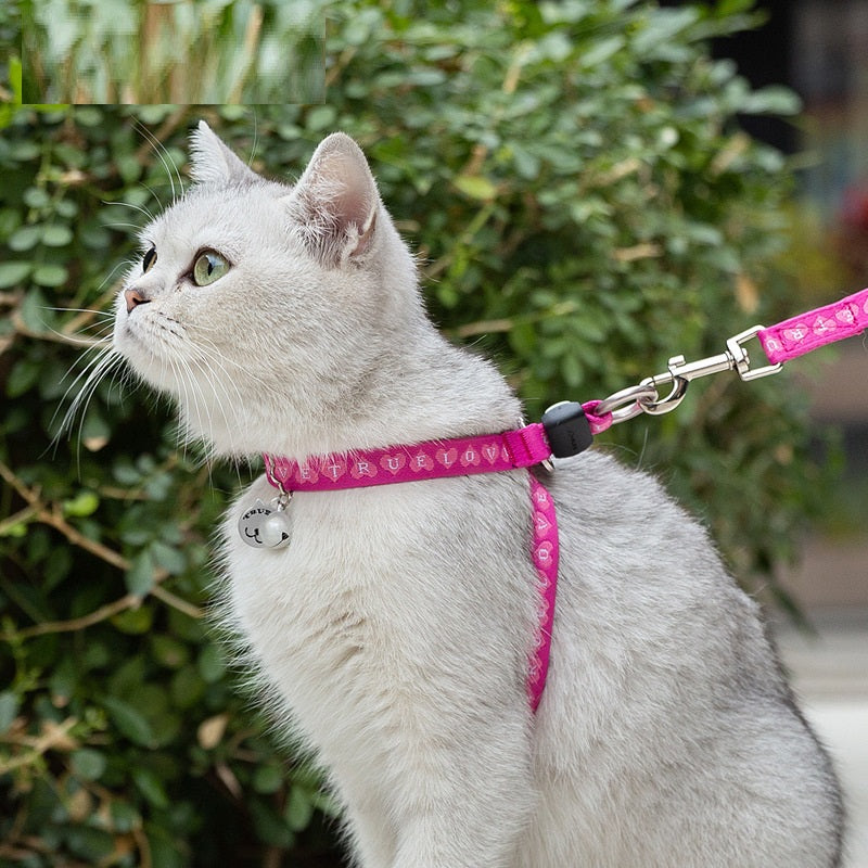 Pet Harness Vest With Bell Chest Strap And Leash