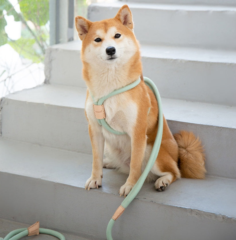 Dual Purpose Pet Leash Integrated Round Rope Design