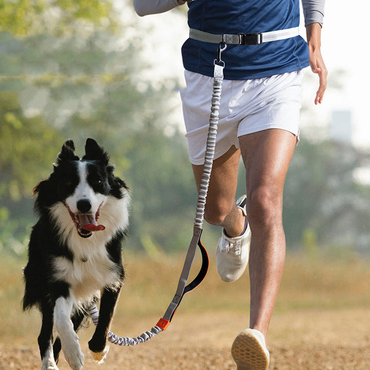 Outdoor Running Pet Leash Durable Comfortable Exercise Design